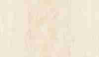 46004 Обои Zambaiti (Trussardi VI) (1*4) 10,05x1,06 винил на флизелине