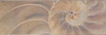 Плитка керамическая Ape Montecarlo Decor Cana 1 декор 20х60