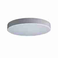 Потолочный светодиодный светильник Loft IT Axel 10002/24 white