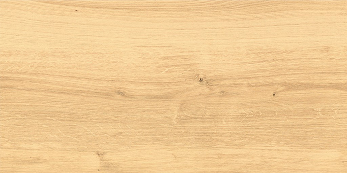 Керамогранит Cersanit Woodhouse глаз. бежевый (C-WS4O012D) 29,7х59,8