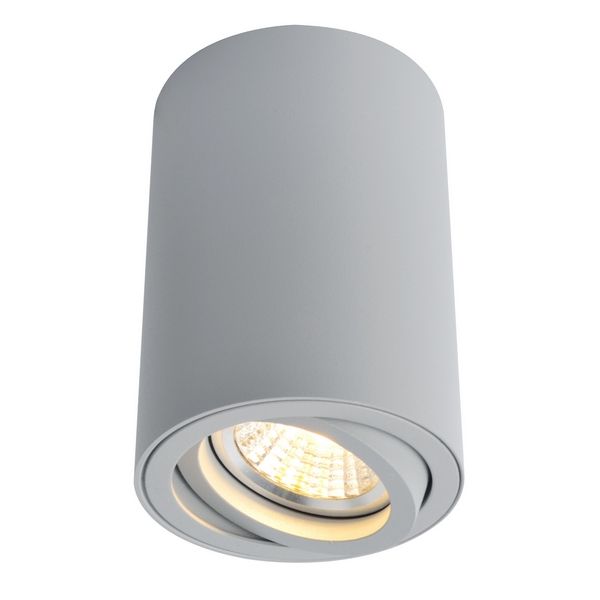 Светильник точечный Artelamp Sentry A1560PL-1GY