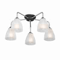 Потолочная люстра Vitaluce V4500-9/5PL