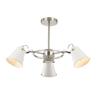 Потолочная люстра Lumion Arudlis 3591/3C