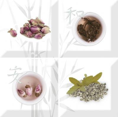 Плитка керамическая Absolut keramika Aroma Fosker Decor (composicion) Set Aroma Fosker S/4 A декор 10х10