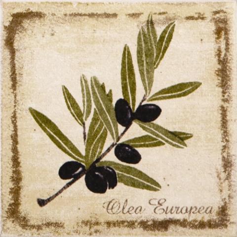 Плитка керамическая Kerama Marazzi А1912/1221Т Прованс декор 9,9х9,9