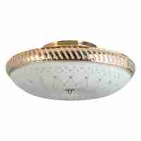 Накладной светильник Toplight Loreen TL1492Y-05GC