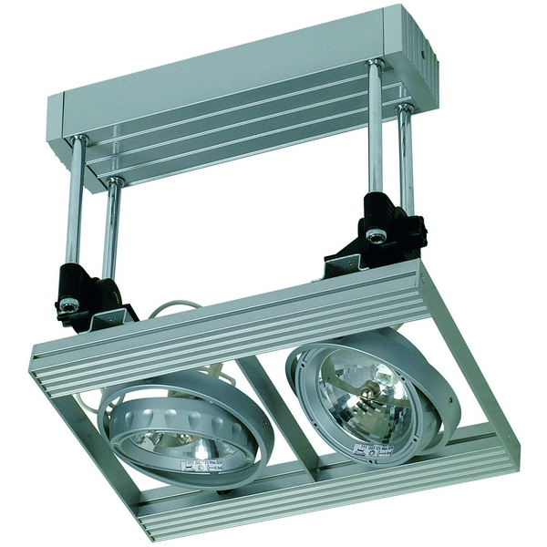 Спот Paulmann CARDANO 75402