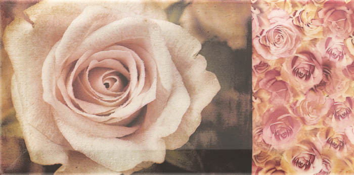 Плитка керамическая Mainzu Arkadia Decor Flower декор 10х20