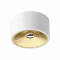 Потолочный светильник Odeon Light Glasgow 3892/1C