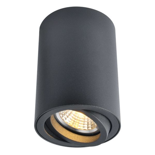 Светильник точечный Artelamp Sentry A1560PL-1BK