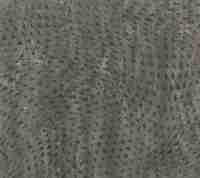 48207 Обои Limonta (Metropole) (1*6) 10,05х0,53 винил на флизелине