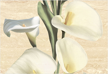 Декор ALMA Ceramica Каллы ВС7КЫ004 36,4х24,9