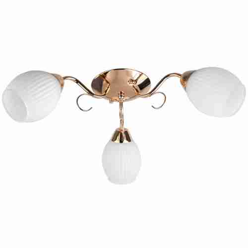 Люстра потолочная TopLight Kristin TL3520X-03FG