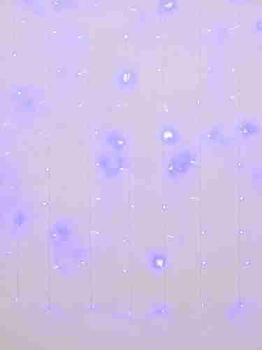 Светодиодная гирлянда Uniel занавес 220V синий ULD-C2030-240/DTA BLUE IP20 07942