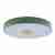 Потолочный светодиодный светильник Loft IT Axel 10003/24 green Потолочный светодиодный светильник Loft IT Axel 10003/24 green