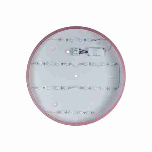 Потолочный светодиодный светильник Loft IT Axel 10003/24 pink