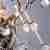 Бра Divinare Salice 3132/26 AP-2 Бра Divinare Salice 3132/26 AP-2