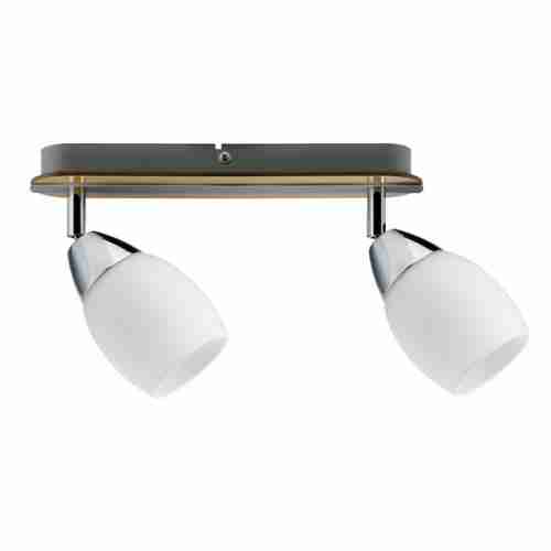 Спот Paulmann Wolba 60073