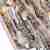 Настенный светильник Divinare Salice 3150/02 AP-2 Настенный светильник Divinare Salice 3150/02 AP-2
