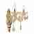 Бра iLamp Asia 81072-2 WH Бра iLamp Asia 81072-2 WH