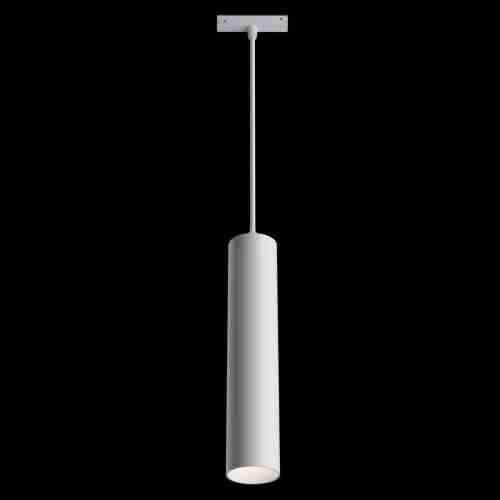 Трековый светодиодный светильник Maytoni Technical Track lamps TR016-2-12W4K-W