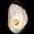 Настенный светодиодный светильник Loft IT Clam 10043 White Настенный светодиодный светильник Loft IT Clam 10043 White