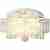 Потолочная люстра TopLight Ivy TL68862D-7W