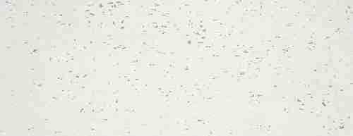 Плитка керамическая La Platera Goldstone Snow 35х90