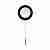 Бра Loft IT Signal 10029W Black