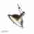 Подвесной светильник iLamp Lamp Loft199-B Подвесной светильник iLamp Lamp Loft199-B