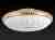 Накладной светильник Toplight Davina TL1482Y-05GC