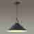 Подвесной светильник Odeon Light Agra 3364/1 Подвесной светильник Odeon Light Agra 3364/1