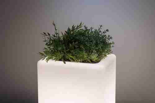 Уличный светодиодный светильник Paulmann Lichtobjekt Plant 94183