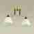 Потолочная люстра Lumion Becky 4544/2C Потолочная люстра Lumion Becky 4544/2C
