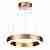 Подвесной светодиодный светильник Odeon Light Brizzi 3885/25LA