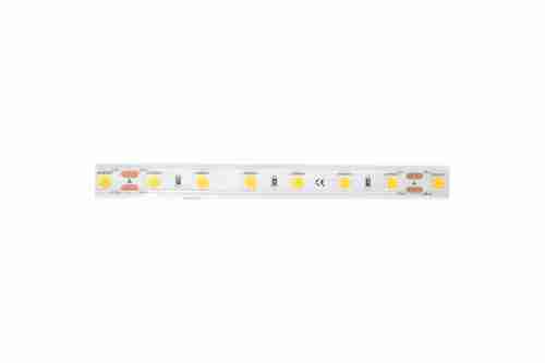 Светодиодная лента DesignLed LUX DSG560-24-NW-65