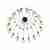 Подвесная люстра Loft IT Spider Loft1162/16 Подвесная люстра Loft IT Spider Loft1162/16