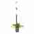 Настенный светильник Odeon Light Flower 4681/2WA Настенный светильник Odeon Light Flower 4681/2WA