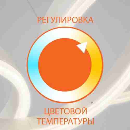 Потолочная люстра Eurosvet Floritta 90227/6