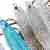 Настенный светильник Divinare Amelie 6002/01 AP-1 Настенный светильник Divinare Amelie 6002/01 AP-1