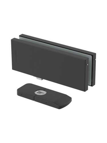 Петля-доводчик Armadillo (Армадилло) для стеклянной двери Range.GL.H10 BL черный