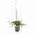 Настенный светильник Odeon Light Flower 4682/1WB