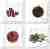 Плитка керамическая Absolut keramika Aroma Fosker Decor (composicion) Set Aroma Fosker S/4 B декор 10х10
