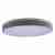 Потолочный светодиодный светильник Loft IT Axel 10001/36 grey Потолочный светодиодный светильник Loft IT Axel 10001/36 grey