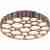 Потолочный светильник Vele Luce Bible VL7156L01
