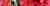 Плитка керамическая Cerrol Imperia Listwa Hibiskus бордюр 6,5х50