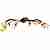 Потолочная люстра N-Light PX-0205 PX-0205/8C ferrrugineous