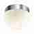 Потолочный светильник Odeon Light Minkar 2443/1A