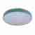 Потолочный светодиодный светильник Loft IT Axel 10001/36 blue Потолочный светодиодный светильник Loft IT Axel 10001/36 blue