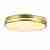 Потолочный светодиодный светильник F-Promo Pall 2745-2C